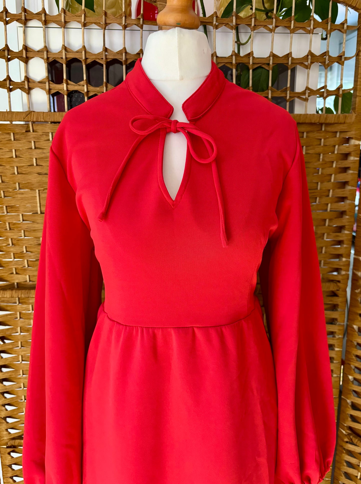 1970s Red Maxi-Dress (UK 10)
