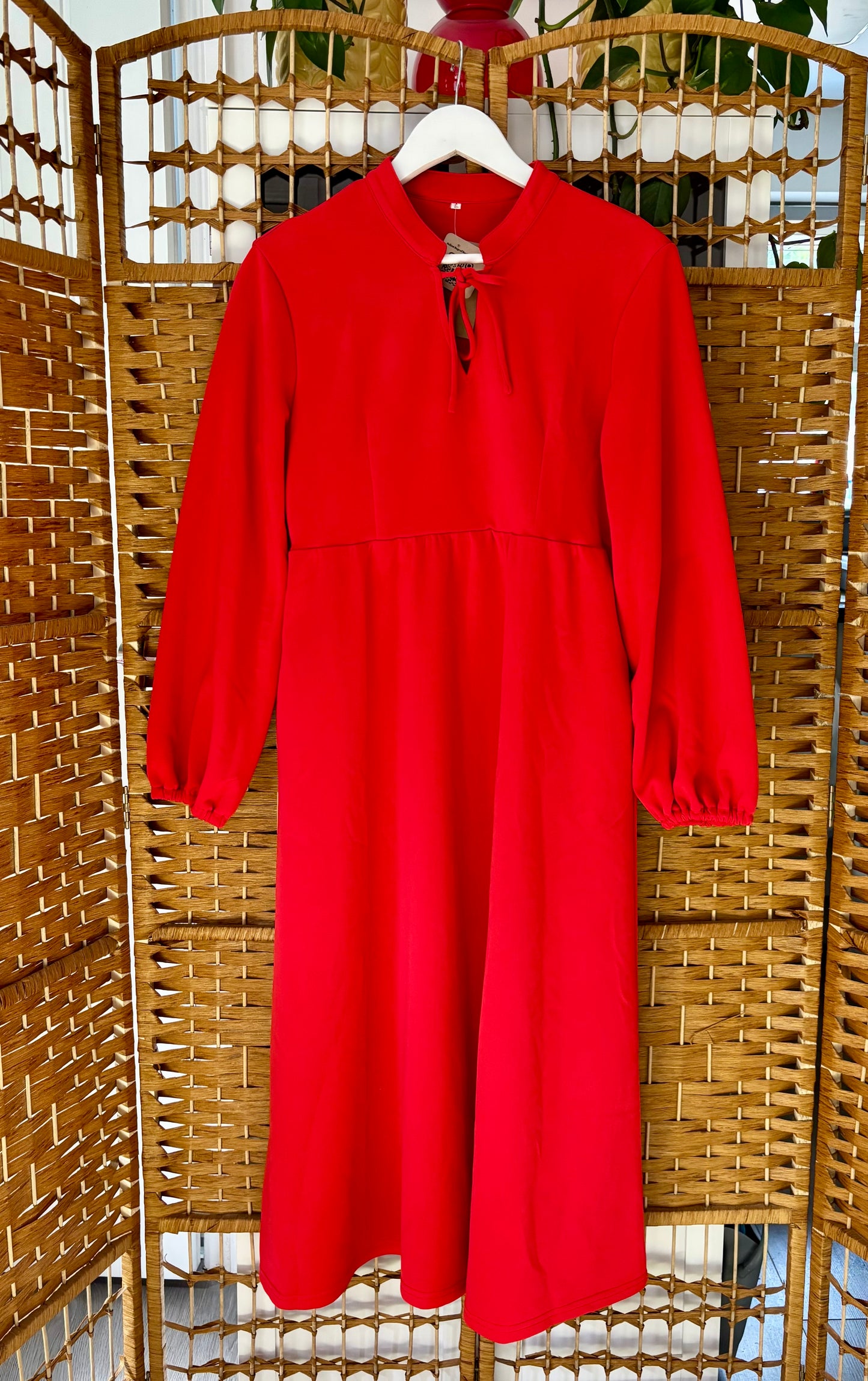 1970s Red Maxi-Dress (UK 10)