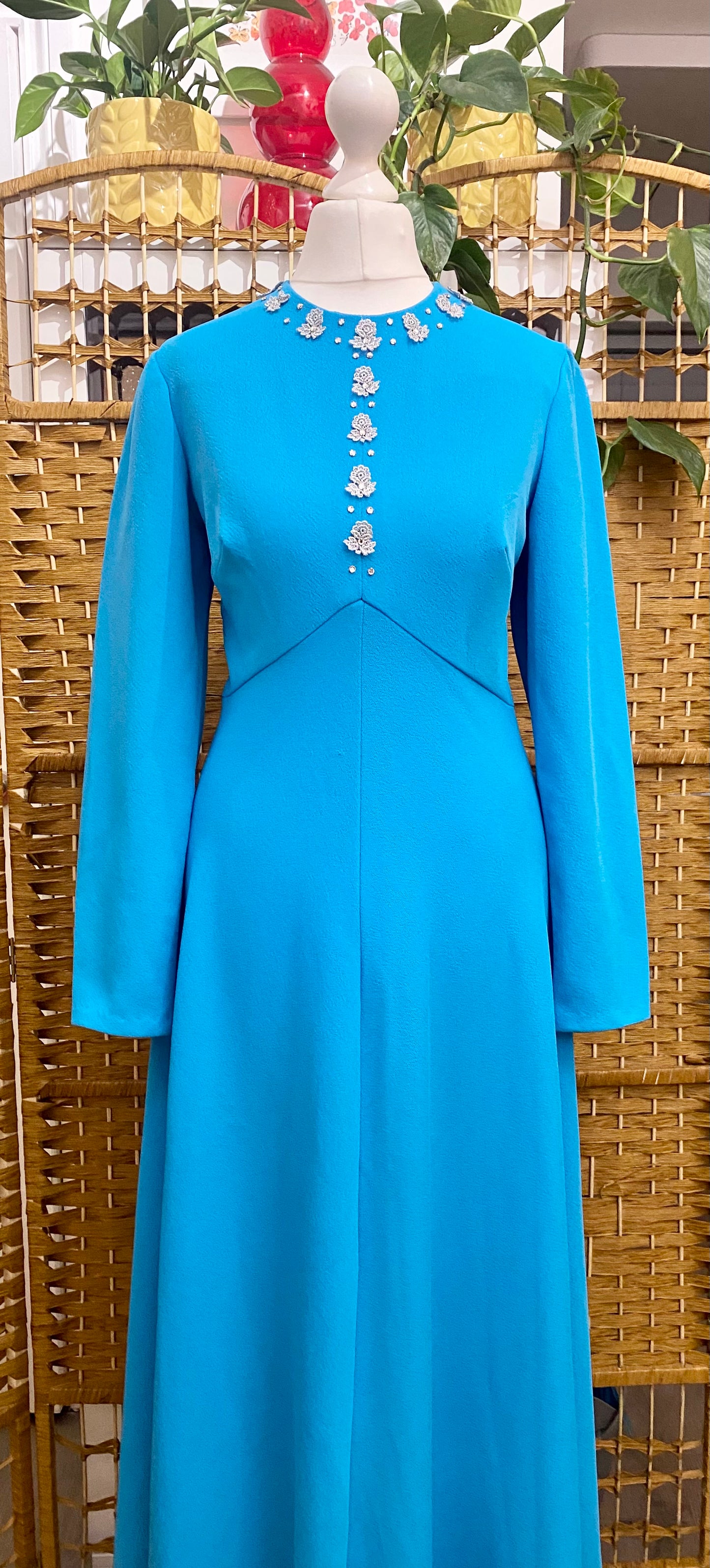 1970s Maxi Dress (UK 10)