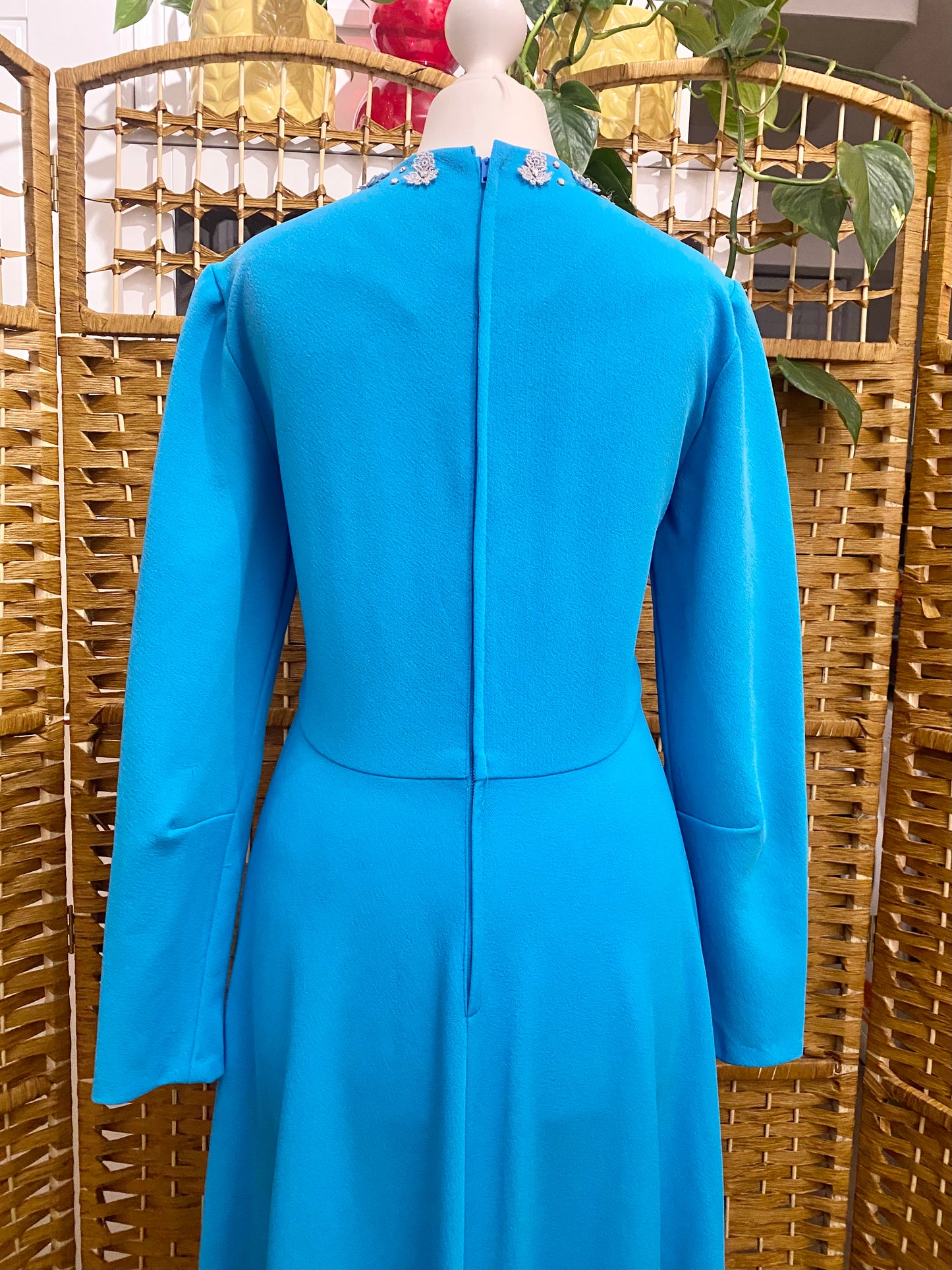 1970s Maxi Dress (UK 10)